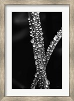 Framed Water Droplets