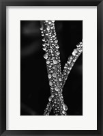 Framed Water Droplets