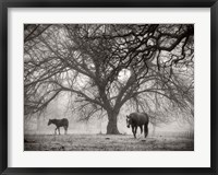 Framed Morning Calm II BW