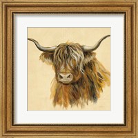 Framed 'Highland Animal Cow' border=