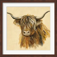 Framed 'Highland Animal Cow' border=