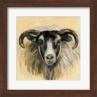 Framed Highland Animal Ram