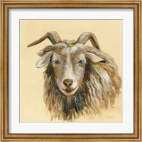 Framed Highland Animal Sheep
