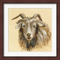 Framed Highland Animal Sheep