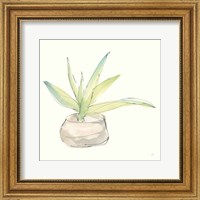 Framed Succulent III