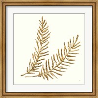 Framed Gilded Fern IV