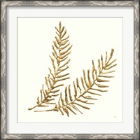 Framed Gilded Fern IV