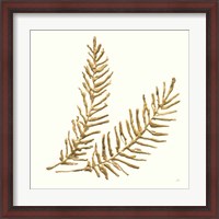 Framed 'Gilded Fern IV' border=