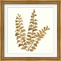 Framed 'Gilded Fern III' border=