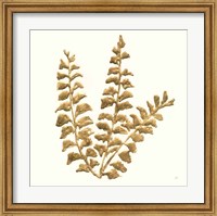 Framed Gilded Fern III