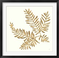 Framed 'Gilded Fern II' border=