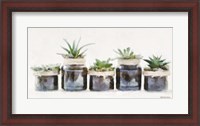Framed Rustic Plants in a Row