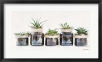 Framed Rustic Plants in a Row