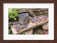 Framed Blueberries Picked