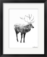 Framed Black & White Elk