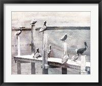 Framed Birds on a Pier