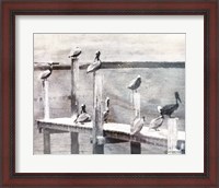 Framed Birds on a Pier