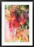 Framed Soft Color Floral Abstract