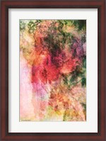 Framed Soft Color Floral Abstract