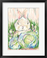 Framed Bunny in the Cabbage Patch