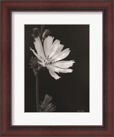 Framed Flower Petal Wishes