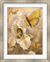 Framed Flower & Butterflies I