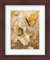 Framed Flower & Butterflies I