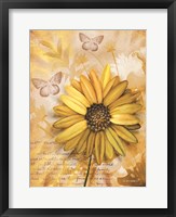 Framed Flower & Butterflies II