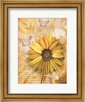 Framed Flower & Butterflies II