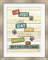 Framed Cat Intervention