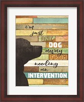 Framed Dog Intervention