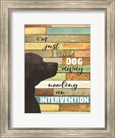 Framed Dog Intervention