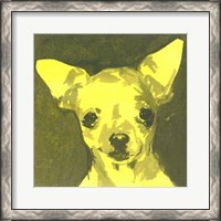 Framed Pop Modern Dog VII