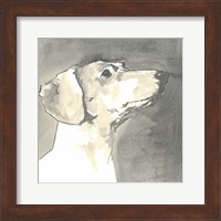 Framed Sepia Modern Dog IV