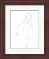 Framed Horse Contour I