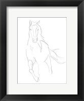 Framed Horse Contour II