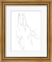 Framed Horse Contour II