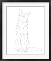 Framed Dog Contour I