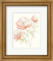 Framed 'Watercolor Floral Variety III' border=