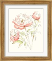 Framed 'Watercolor Floral Variety III' border=