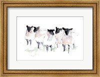 Framed Minimalist Watercolor Sheep I