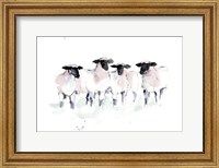 Framed Minimalist Watercolor Sheep II