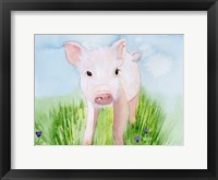 Framed Baby Spring Animals V