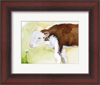 Framed Baby Spring Animals VII