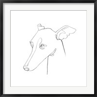 Framed Greyhound Pencil Portrait I