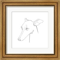 Framed Greyhound Pencil Portrait I