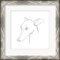 Framed Greyhound Pencil Portrait I