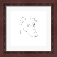 Framed Greyhound Pencil Portrait II