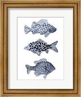 Framed Blue Fish I