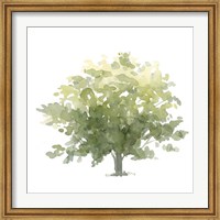 Framed Lonely Oak I